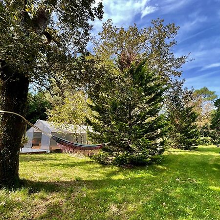 Cabane Au Milieu Des Pins - Domaine Temali Labouheyre Exterior foto
