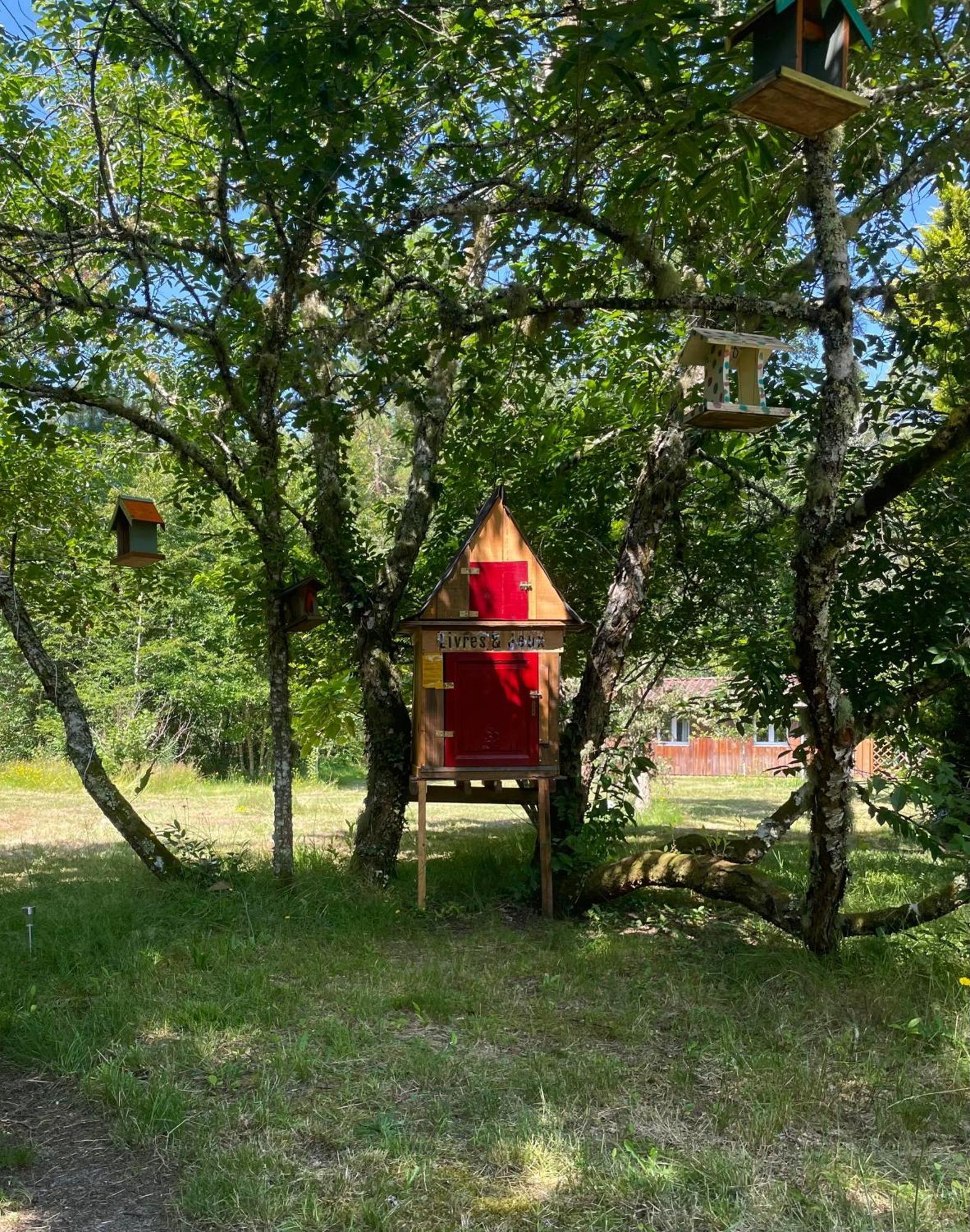 Cabane Au Milieu Des Pins - Domaine Temali Labouheyre Exterior foto
